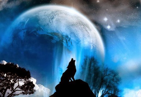 ~* PROCURO UM AMOR !